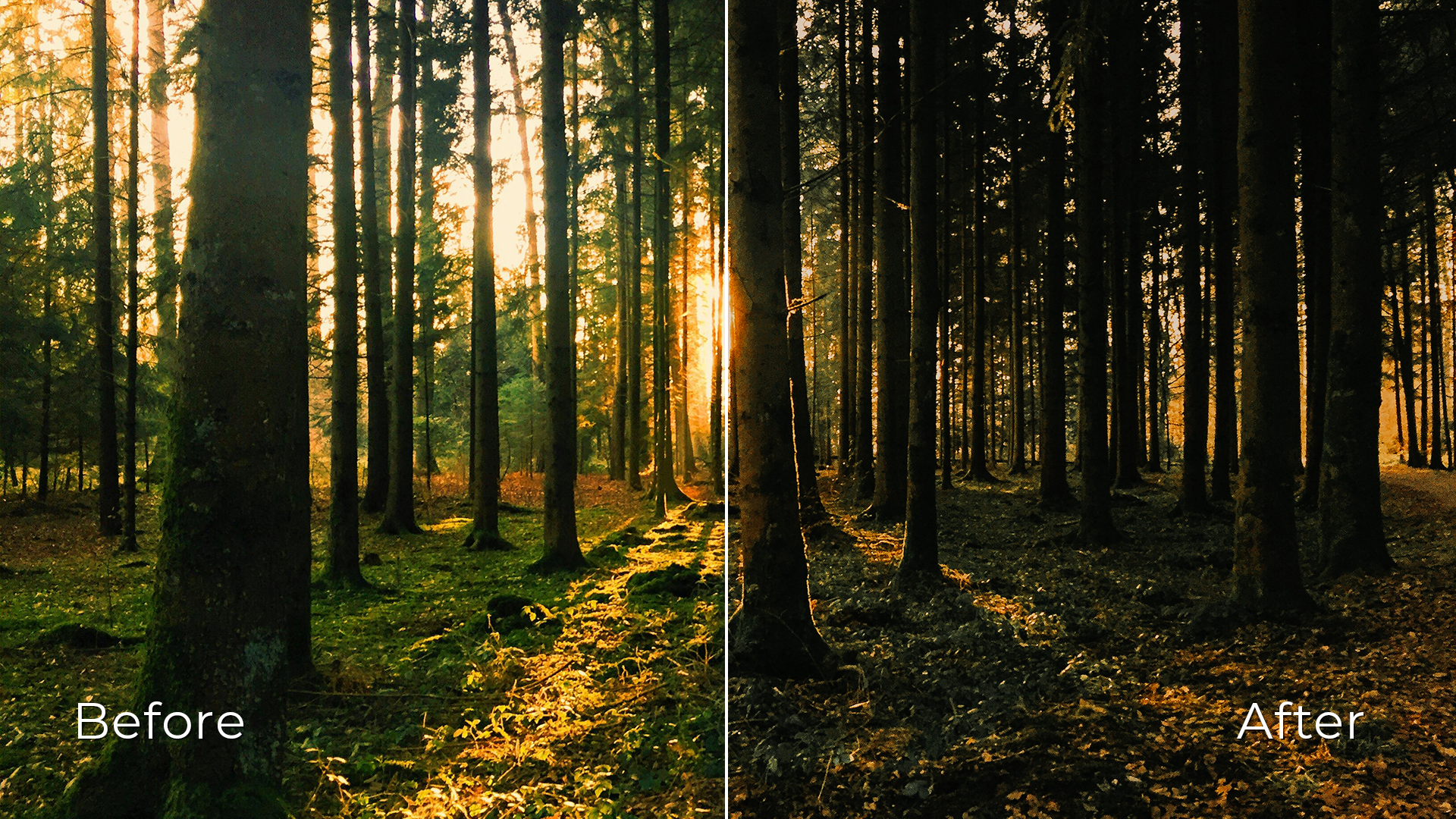 Sunset Blaze - Preset Pack