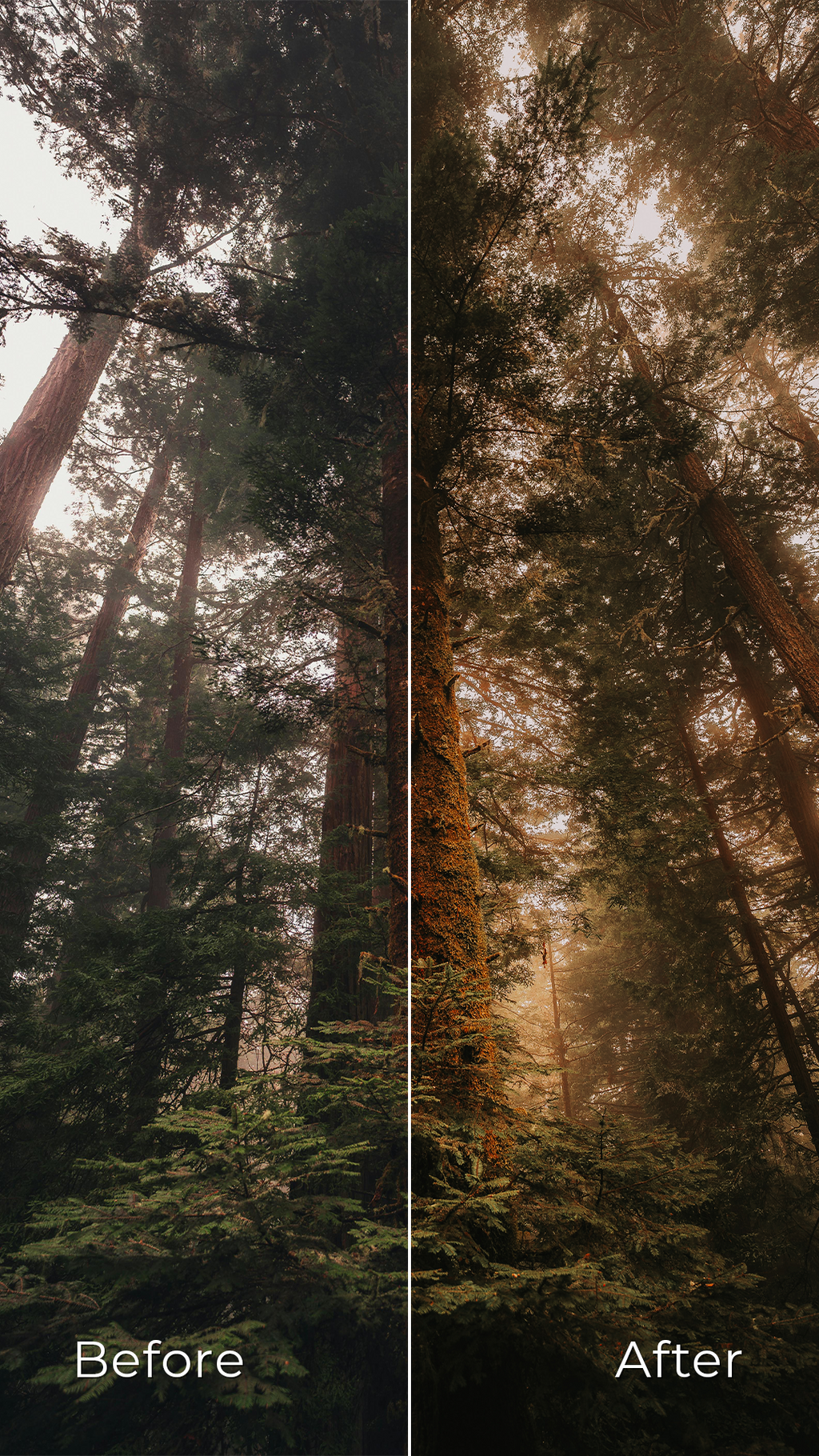 All-In-One - Preset Collection