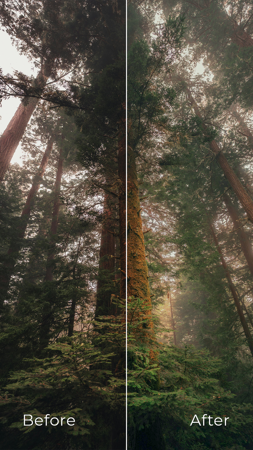 Vintage Charm - Preset Pack