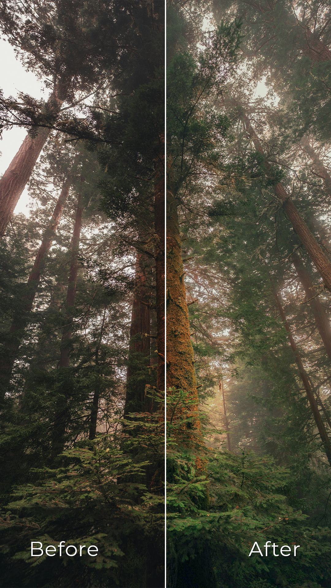 Vintage Charm - Preset Pack