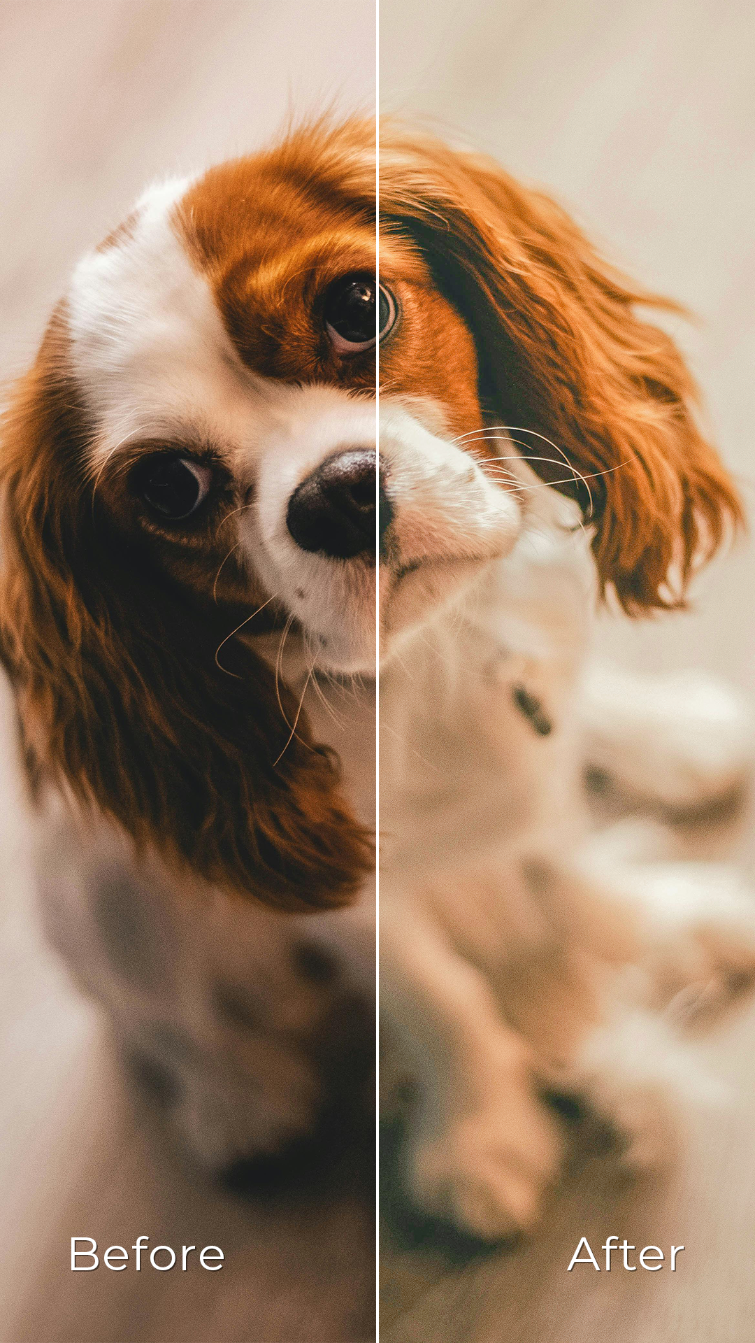 All-In-One - Preset Collection