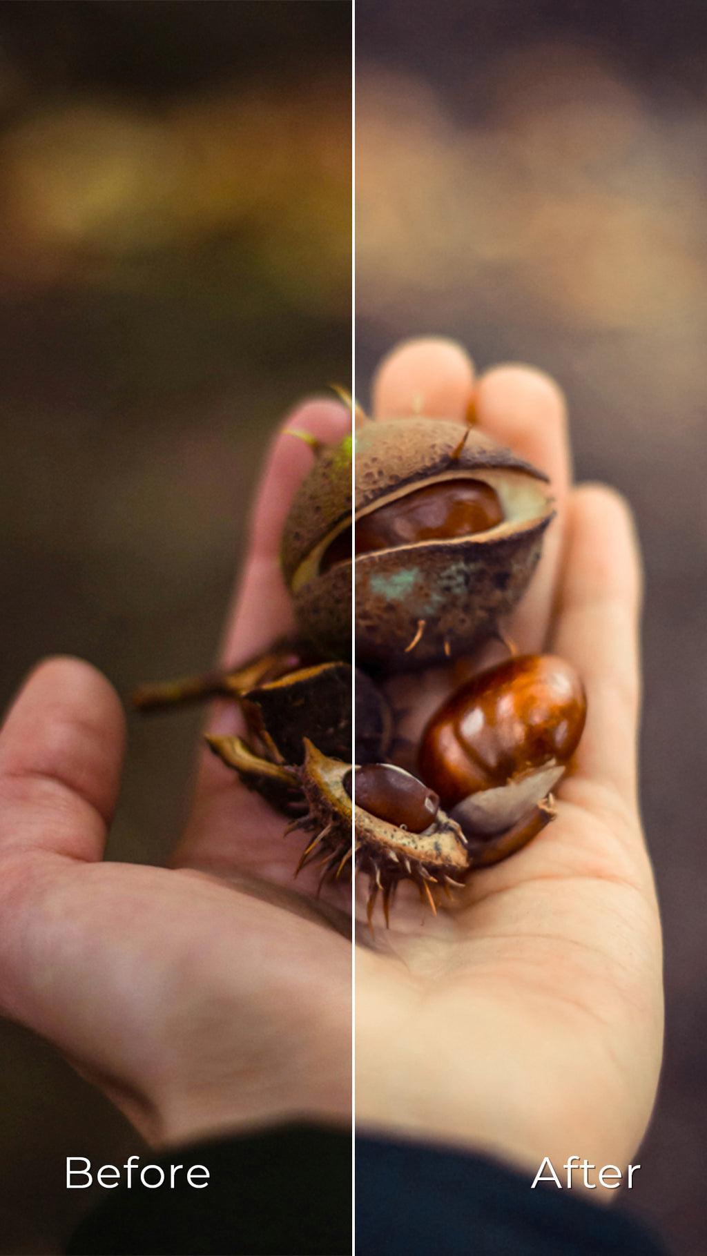 Orange - Preset Pack