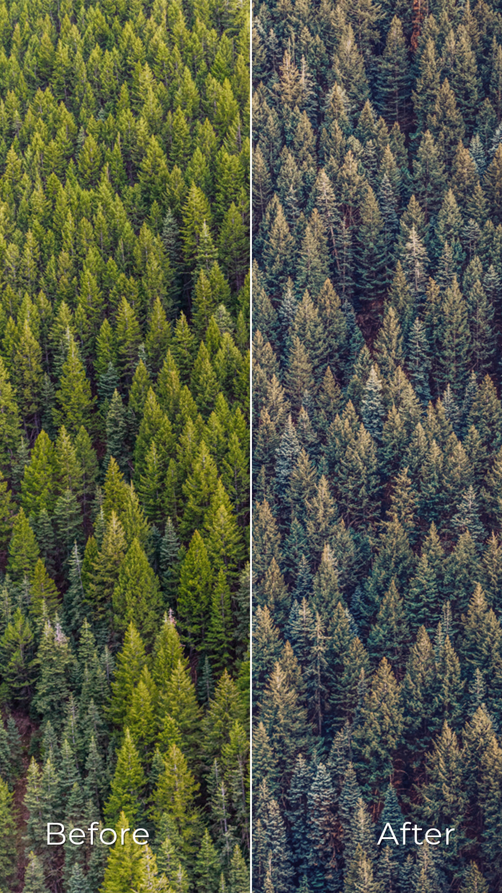 Deeps - Preset Collection